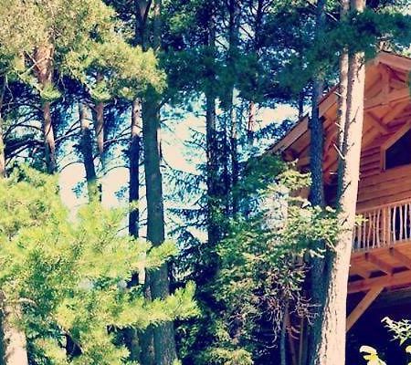 Les Cabanes Des Pins Sylvestres Saint-Martin-Vésubie Esterno foto