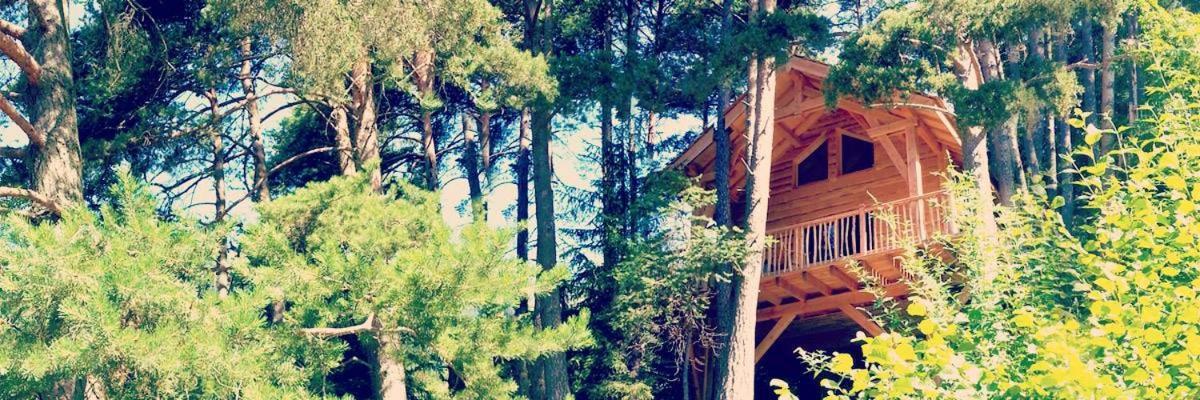 Les Cabanes Des Pins Sylvestres Saint-Martin-Vésubie Esterno foto
