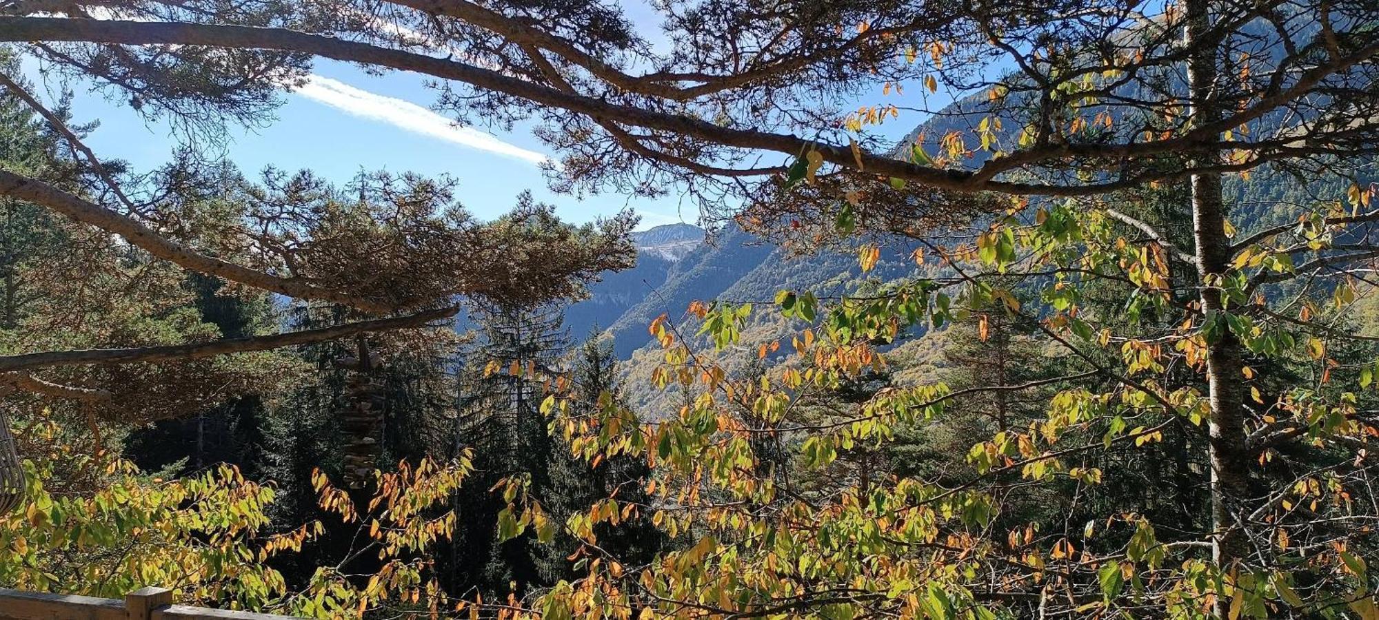Les Cabanes Des Pins Sylvestres Saint-Martin-Vésubie Esterno foto